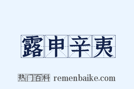 露申辛夷是什么意思的图片